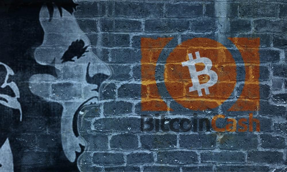 BitcoinCash_Plan_Main рисунок на стене лицо и биткоин