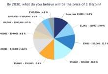 Опрос: большинство инвесторов из США не верят в рост курса BTC до $50 000 к 2030 году